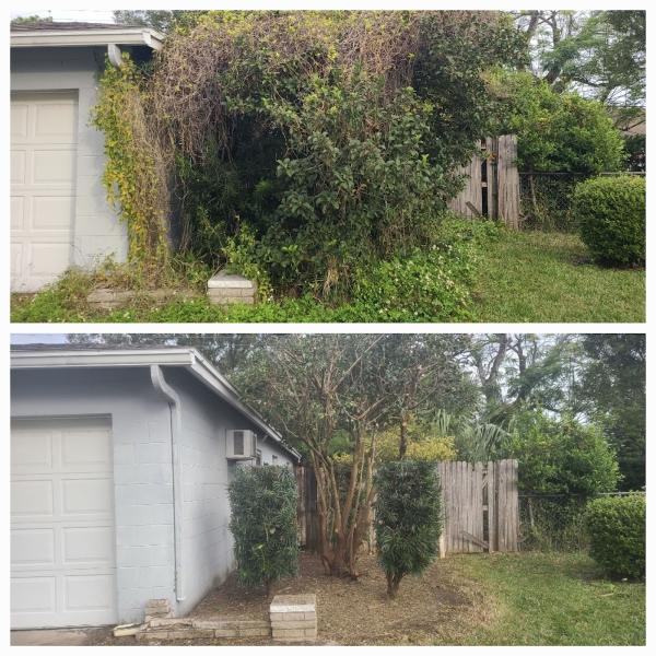 Blackwells Cleanup Services