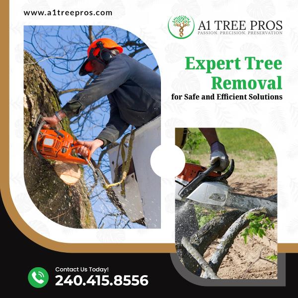 A1 Tree Pros