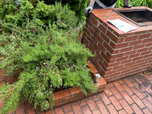 Alpine Environmental Services