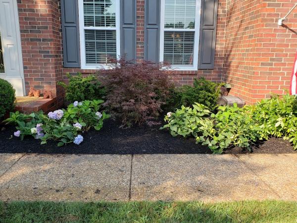 Drew's Lawn & Landscape
