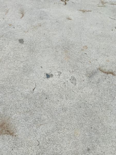 Page Concrete
