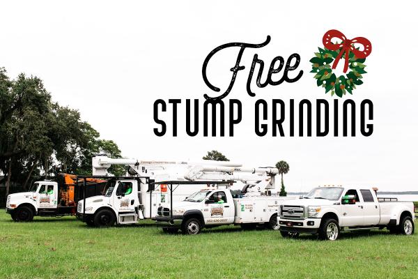 Stanage Tree Service Inc