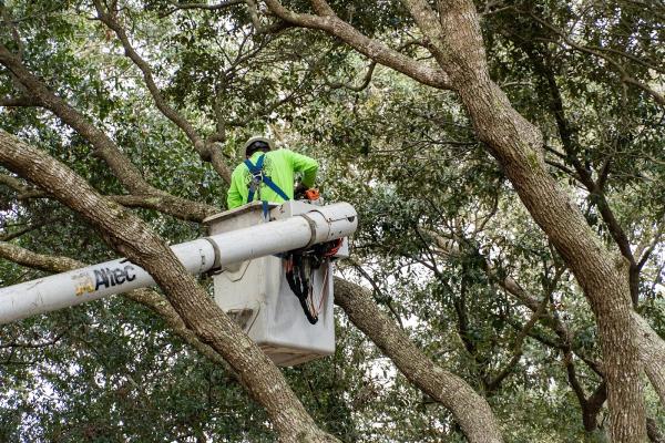 Stanage Tree Service Inc