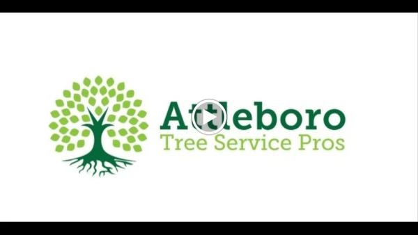 Attleboro Tree Service Pros