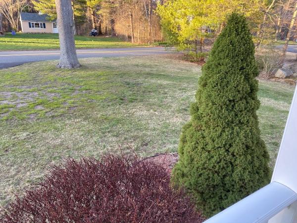 J&M Landscaping Construction