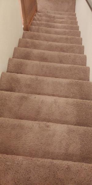 Aloha Carpet Cleaning