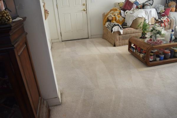 Robin & Sons Carpet Cleaning