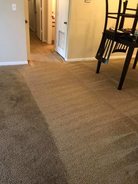 Robinson's Carpet Cleaning