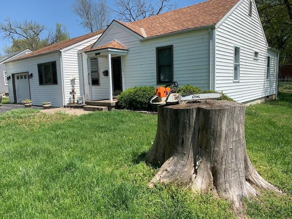 Johnson County Stump Removal LLC