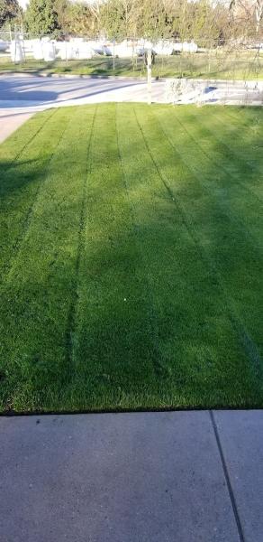 Cobos Landscape Solutions