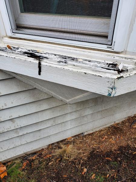 Mo's Handyman Service