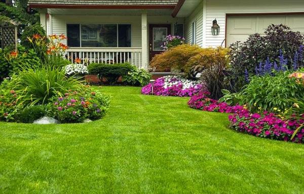 Lawn Savers