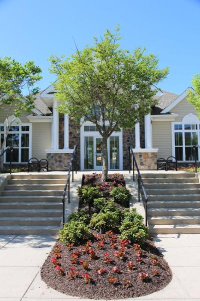Y&L Landscaping & Tree Service
