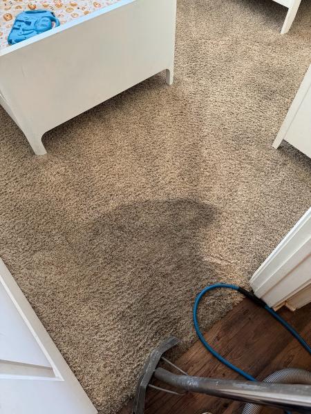 IE Carpet Care