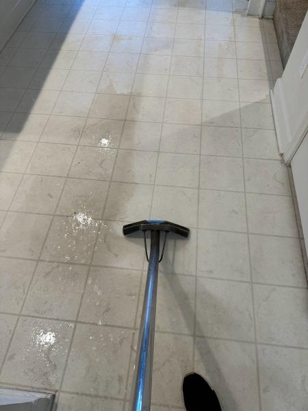 IE Carpet Care