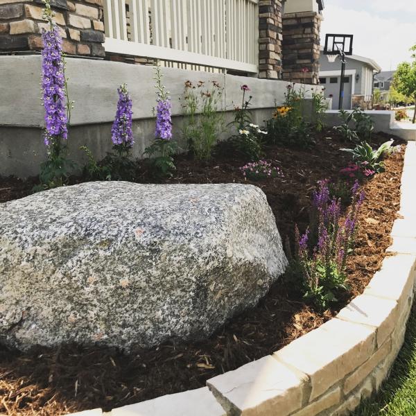 Easy Green Landscaping