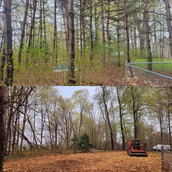 Benchmark Land Management LLC