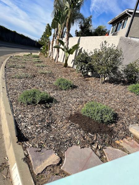Eimy R Landscape and Design