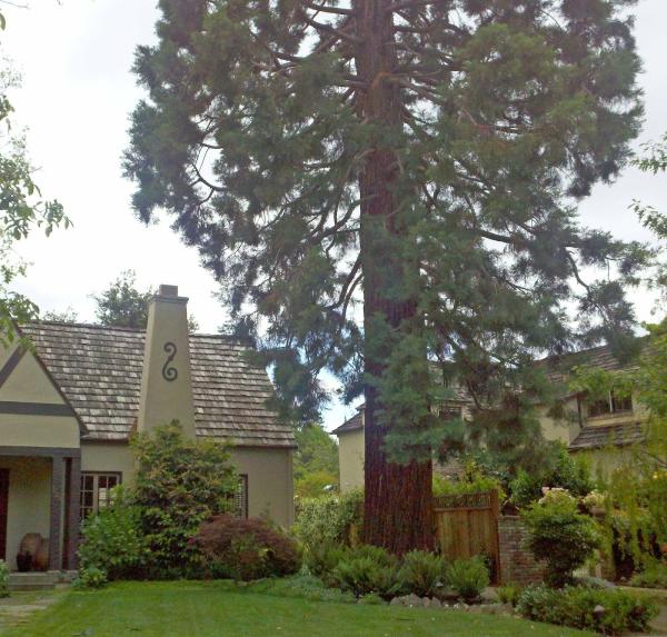 Spencer's Tree Service
