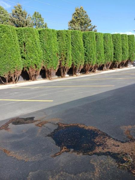 B&K Lawn and Landscape