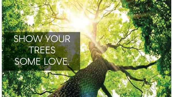 Heartwood Tree Care