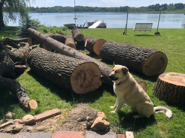Heartwood Tree Care