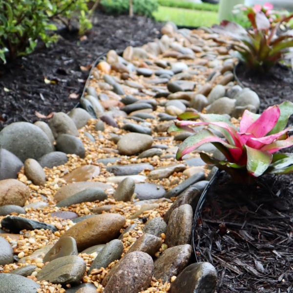 Fort Myers Garden Service