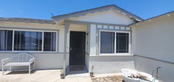 Magic Custom Painting Professional Painters