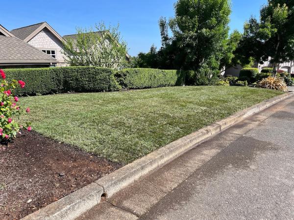 Prime Landscape Services