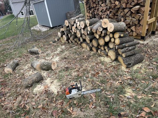 County Tree Service