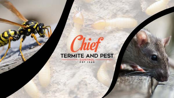 Chief Termite & Pest Control Inc