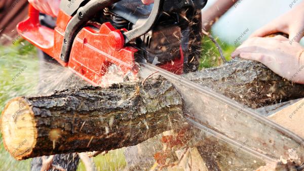 Smith Tree Service