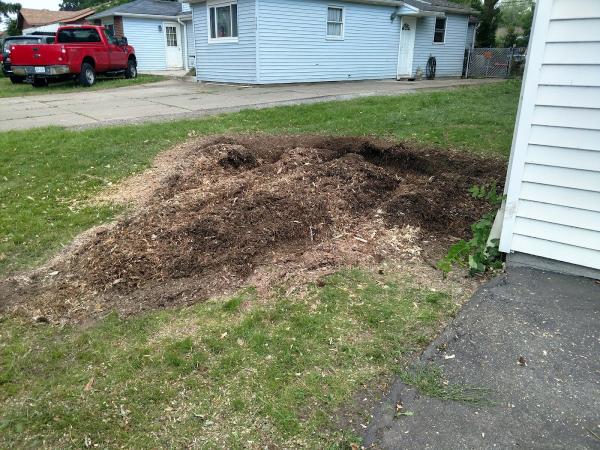 Stump Removal Services