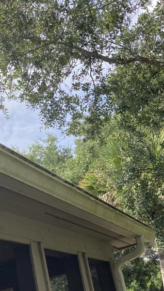 Aquaexterior Pressure Washing