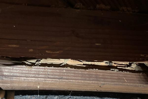 Easy Living Home Inspections