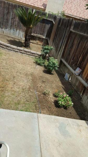 Pronto Gardening Services