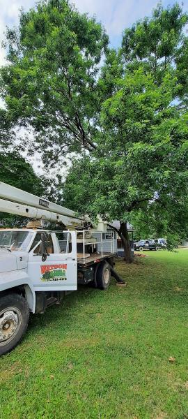 A-1 Watson Tree Service