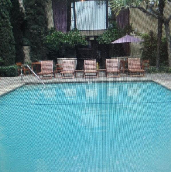 Ace Swimming Pool Services