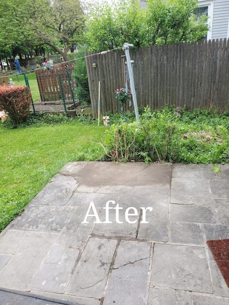 Houston Cleanup and Removal