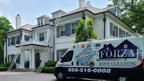 Forza Roof Cleaning