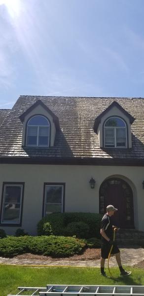 Forza Roof Cleaning