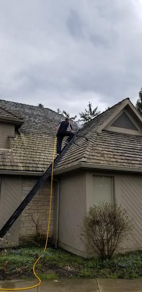 Forza Roof Cleaning