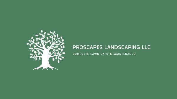 Proscapeslandscapingllc