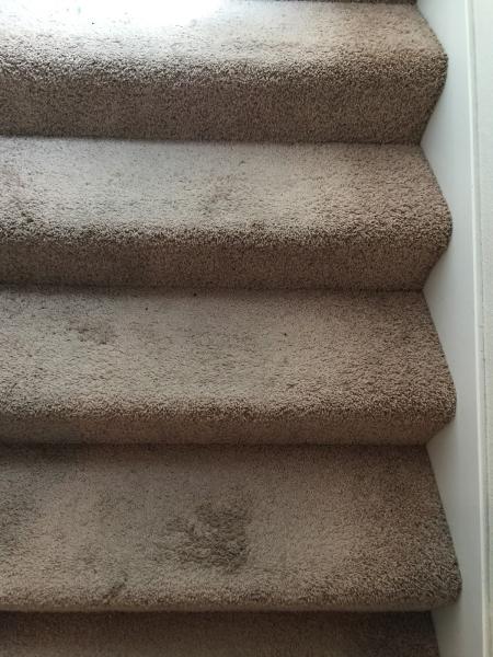 Class Carpet & Upholstery Cleaning