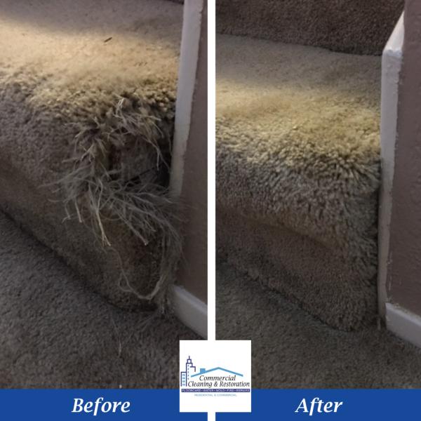 Commercial Cleaning & Restoration