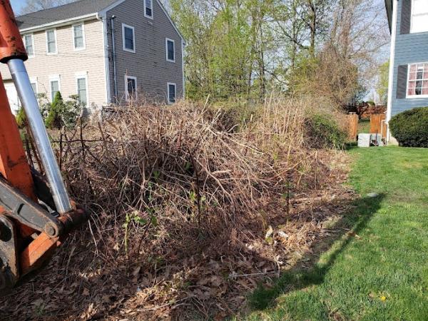 North East Pest Control & Lawn Care