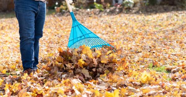 North East Pest Control & Lawn Care