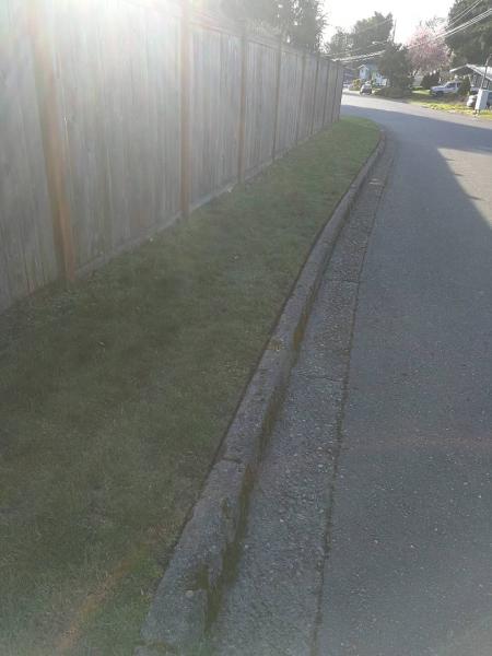 Small Guy Landscaping & Junk Removal