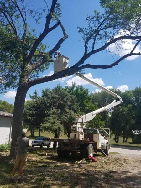 KC Tree Service