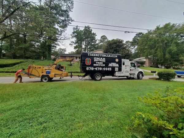 Omar and Brothers Tree Service